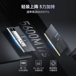 雷克沙 24G DDR5 5600MHz 笔记本内存条