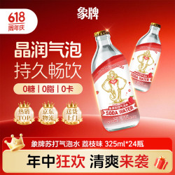 象牌 苏打水 荔枝味 325ml*24瓶
