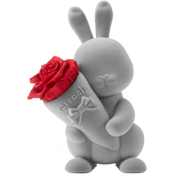 ROSEONLY 甜心玫瑰兔永生花
