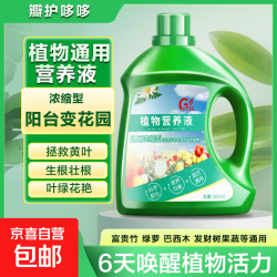 京喜 营养液植物通用型花肥 500毫升
