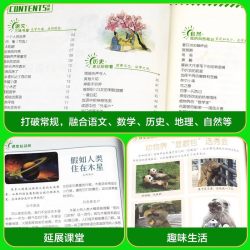 当当网】意林少年版晨读有意思1+2行走的课本自己就是答案纪念版书杂志