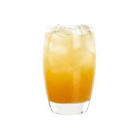 MONIN/莫林 橙果汁饮料浓浆 1L