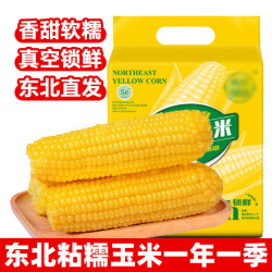 莲山九鲜 东北新鲜黄糯玉米 200g *8支