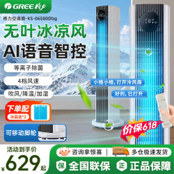 格力 空调扇家用冷风扇等离子加湿冷风机节能省电循环扇 AI语音款6L