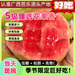 广西 红心软心番石榴 新鲜水果 1kg