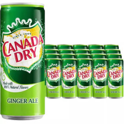 CANADA DRY 可口可乐CANADA DRY干姜味汽水碳酸饮料330ml/罐*6罐 欧洲版
