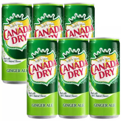 CANADA DRY 可口可乐CANADA DRY干姜味汽水碳酸饮料330ml/罐*6罐 欧洲版