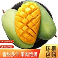 泰汇吃 金煌芒 净重9斤 单果200-300g 新鲜芒果