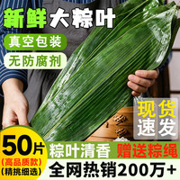 楼小咩 粽子叶 50g 大号新鲜粽叶50片