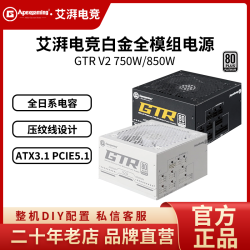 美商艾湃电竞 艾湃电竞电源GTR750W 850V2电源全日系ATX3.1白金金牌全模组电源