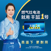 南孚 丰蓝1号大号一号电池厨房煤气燃气灶热水器碳性