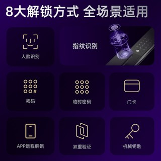 凯迪仕 Q2 FVP V2 人脸识别 智能门锁