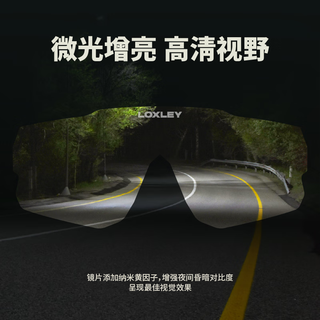 LOXLEY/洛克利 光域系列防飞虫防风沙日夜两用骑行眼镜 增光套装