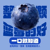 安慕希 伊利安慕希利乐冠整颗蓝莓酸奶 200g*8盒