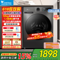 小天鹅 TD120V098WDT