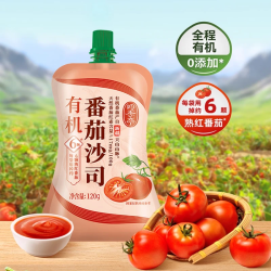 海天 HADAY旗下四季亭 番茄酱沙司 家用挤挤装 番茄意面酱 番茄沙司120g*1