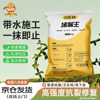 小匠材 堵漏王快干水泥房屋顶防水补漏材料堵漏灵防堵漏剂漏水胶1kg