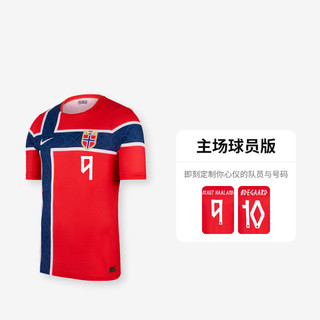NIKE/耐克 挪威队印号版AERO-FIT男子短袖足球球衣