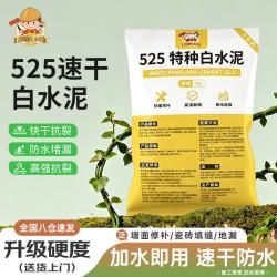 小匠材 白水泥 速干 1kg 墙面修补防水堵洞