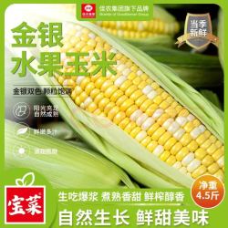 佳农 宝菜云南新鲜金银水果玉米5-6根装净重4.5斤当季现摘源头直发