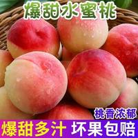 華北強 水蜜桃 5斤家庭装单果100g+中大果