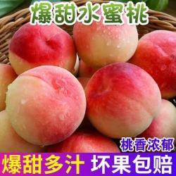 華北強 水蜜桃 5斤家庭装单果100g+中大果