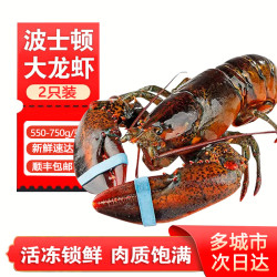 百鲜洽 特大龙虾波士顿龙虾 活冻波龙澳洲大龙虾海鲜水产冰鲜冷冻虾类 2只装（净重550g-750g/只）