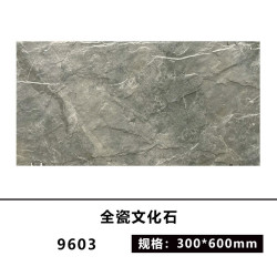 久龙玺文化石外墙砖防天然石材蘑菇石瓷砖室外墙砖 9603 300X600约厚10MM