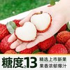 土八鲜 火山岩荔枝王