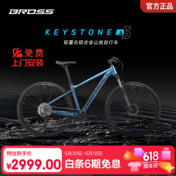 BROSS Keystone A5 山地自行车