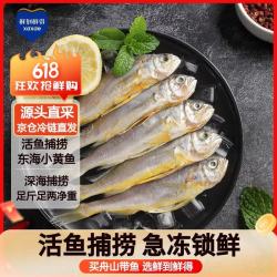鲜到鲜得 海捕小黄鱼 26-28条 800g