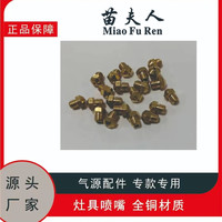 苗夫人 天然气液化气更换燃气气源九腔猛火灶专用喷嘴配件