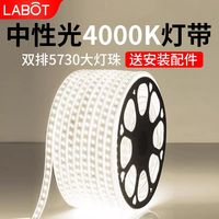 拉伯塔 220V防水高亮4000K中性光LED灯带