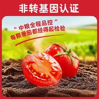 屯河 新疆内蒙去皮整番茄块 番茄罐头 400g*8罐