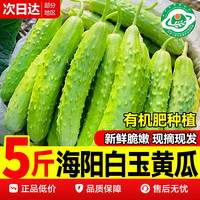 移动端：鲜驰 山东 白玉黄瓜 2斤