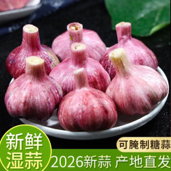 国产 紫皮大蒜 5斤 商超款鲜蒜大果(果径5.0cm+)