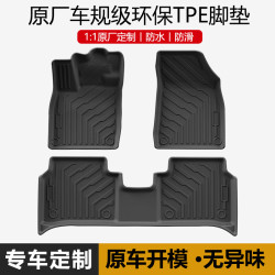 奈吉星 TPE汽车脚垫下单备注车型-按照车型发货