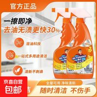 Neyankex 油烟净 强力油烟机清洗剂 油污清洁剂 500克*2瓶 泡沫泵头