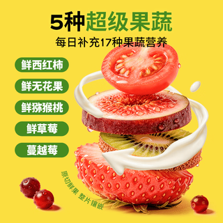 疯狂小狗 冻干酸奶水果砖 50g 猫狗零食