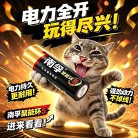 南孚 Z聚能环五代 5号碱性干电池 6粒