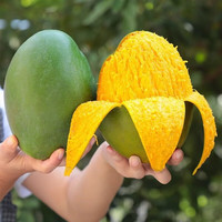 果原力 云南凯特芒果 小果 200g+*10个 约5斤