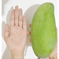 果原力 大青芒果 600g+*5个 热带水果