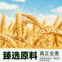 金龙鱼 全麦面粉 高膳食纤维 500g 袋装