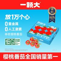 京鲜生 一颗大 黄宝石樱桃番茄 爆汁西红柿净重418g*2盒 源头直发 2.88斤