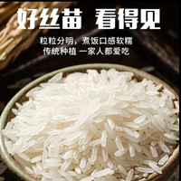 粮心妹 精选丝苗香米 50斤*1袋 大米
