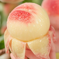 京鲜生 中华桃王 水蜜桃9粒 单果250g+ 新鲜水果源头直发