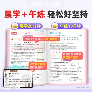 小白鸥 2027小学数学英语语文上册预习视频课