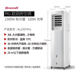 Brandt 法国Brandt官方白朗移动厨房空调家用节能空调扇冷风扇冷风机空调