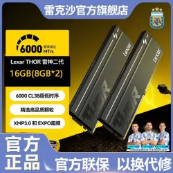 雷克沙 雷神二代6000 CL38 16GB双条DDR5台式机马甲内存条