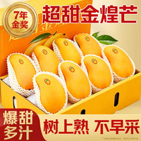 田良记 金煌芒果 9斤装净重8斤